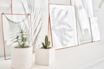 Picture of real plants between the glasses. Natural decorative elements for home decoration: herbarium in a framework on a white table