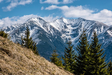 Fototapeta na wymiar Western Tatras mountains, Slovakia, hiking theme