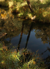 Gorge Road Creek WaterWay South Australia