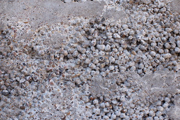 stone texture background