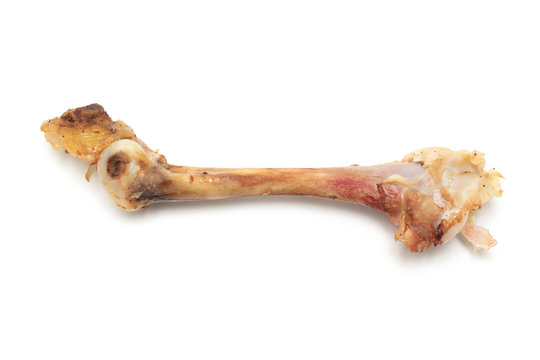 Chicken bone isolated on a white background.