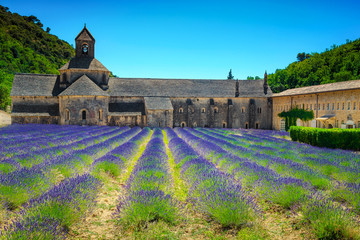 Abbey of Senanque with amazing lavender rows, Gordes, Provence, France