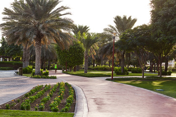 A man runs through the park along the alleys of the city park