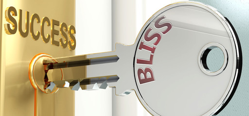 Bliss and success - pictured as word Bliss on a key, to symbolize that Bliss helps achieving success and prosperity in life and business, 3d illustration