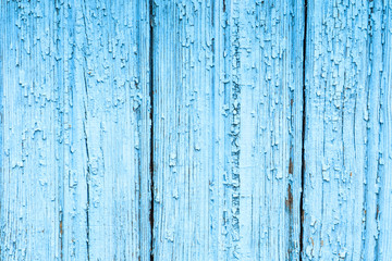 Fototapeta na wymiar Background of an old wooden Board, painted blue. 