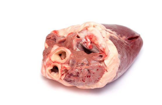 Heart meat is isolated on a white background.