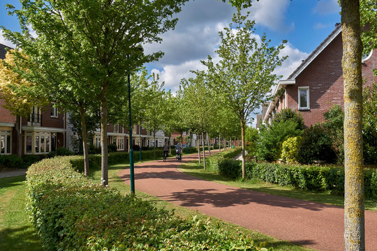 Residential street in the Netherlands with wide cycle lane, green hedge and no cars. Urbanism design for slow transportation neighbourhood                  