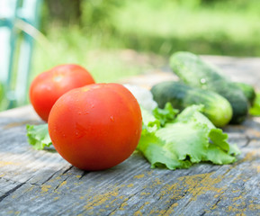 Tomatoes, cucumbers, cauliflowers and lettuce.