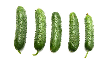 Fresh small cucumbers with pimples on a white background. Macro photo food vegetable cucumber. A lot of juicy green cucumbers. Little gherkins.