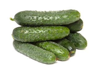 Fresh small cucumbers with pimples on a white background. Macro photo food vegetable cucumber. A lot of juicy green cucumbers. Little gherkins.