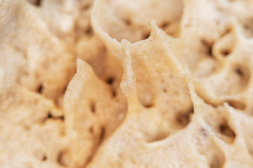 Close-up of cooked dough in soft focus
