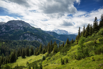 Trail to the Mount Jenner at the Berchtesgadener Land.
