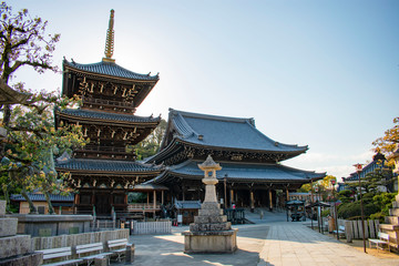 Fototapeta premium 水間寺