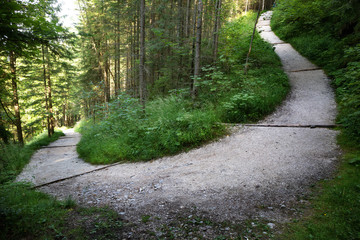 Fototapeta premium Hiking trail to the Mount Watzmann.