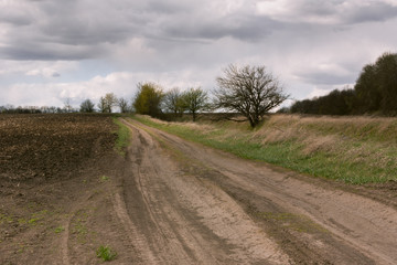Fototapeta na wymiar road through an empty field under the clouds