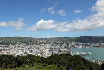 Obraz premium Wellington. Neuseeland