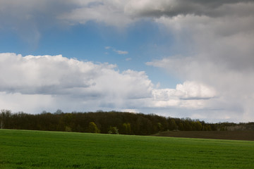 green field with growing trees under the clouds in the blue sky
