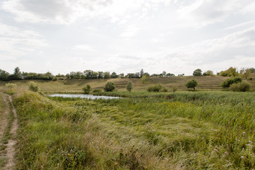 Fototapeta na wymiar river flowing through a green field