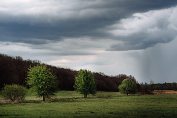 Dramatic sky before rain with rain clouds on the horizon over rural landscape. Green spring meadow and a lonely tree. Agriculture and weather forecasting concept.