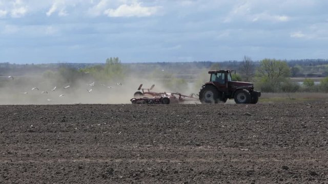 Farmer on Tractor Plowing Dusty Arid Soil. Farm Car Followed by Flock Birds. Tractor Cuts Furrows in Farm Field for Sowing. Agribusiness in Spring. Sowing Agricultural Crops