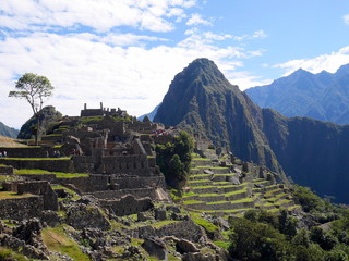 Terraces at Machu Picchu, Peru