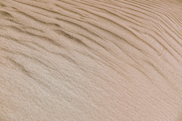 sand dune texture close-up, can be used for both background and calendars.