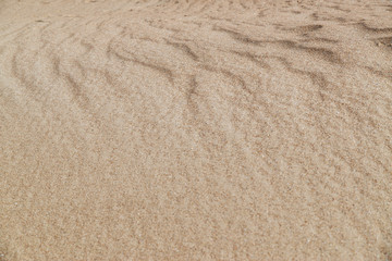 sand dune texture close-up, can be used for both background and calendars.