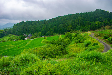 長谷の棚田