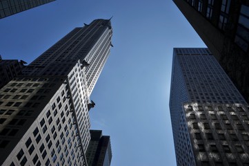 Fototapeta na wymiar USA landscape and skyscrapers