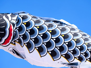 コイノボリ