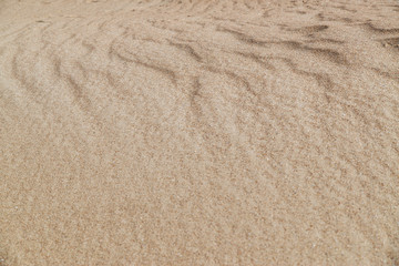 Fototapeta na wymiar sand dune texture close-up, can be used for both background and calendars.