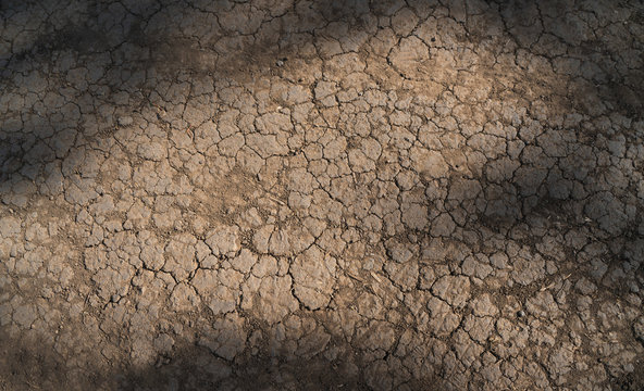 Dry land. Cracks in the earth, drought. Desert.