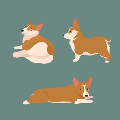 Set Happy dog Welsh Corgi. The style flat. 