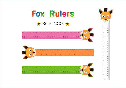 ulers Inch and metric rulers Vector isolated set
