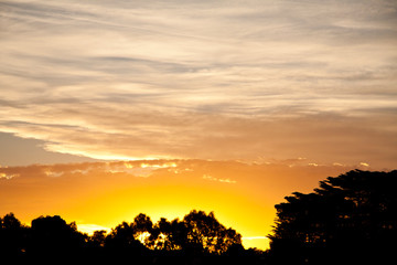 sunset in the bush