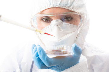 Pathologist healthcare scientist analysing cultures in petri dish