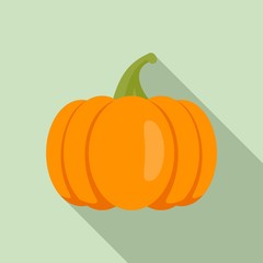 Decoration pumpkin icon. Flat illustration of decoration pumpkin vector icon for web design