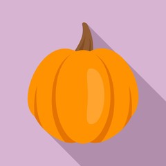 Garden pumpkin icon. Flat illustration of garden pumpkin vector icon for web design