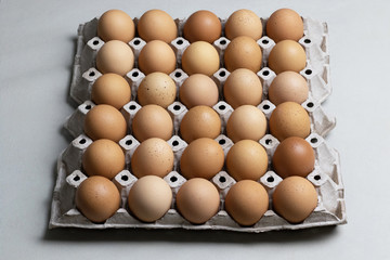 Eggs are arranged on paper panels eggs