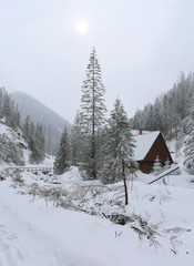 Górska chata w dolinie © Dariusz