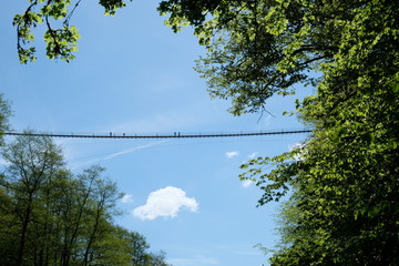 Die Geierlay Hängebrücke im Hunsrück; eine der längsten Fußgängerhängebrücken Deutschlands und beliebtes Touristenziel. Aufnahme vom Wanderweg 