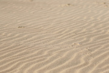 Fototapeta na wymiar Pustynny piasek
