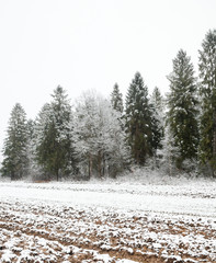 Forest and ploughed field in the snow.