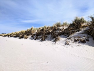 Naturschutzgebiet Bottsand