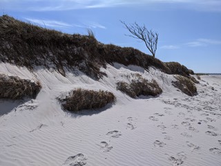 Strandd&uuml;ne