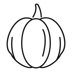 Garden pumpkin icon. Outline garden pumpkin vector icon for web design isolated on white background