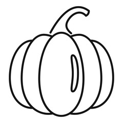 Raw pumpkin icon. Outline raw pumpkin vector icon for web design isolated on white background