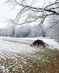 Forest and ploughed field in the snow.