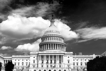 Fototapeta na wymiar The United States Capitol Building, in monochrome, Black and white concept in Washington DC