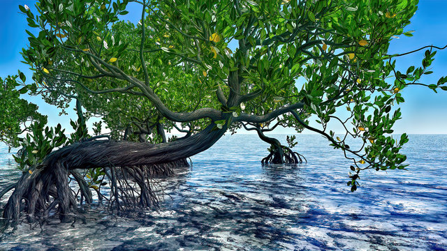 Red mangroves on Florida coast 3d rendering